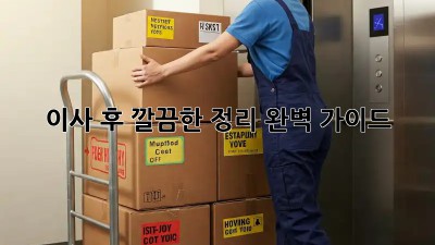 이사 후 깔끔한 정리, 완벽 가이드!