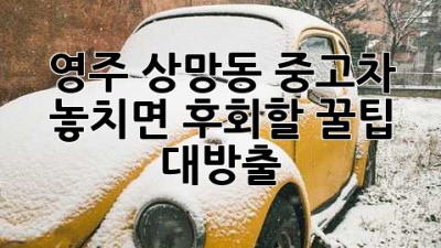 영주 상망동 중고차, 🚗 놓치면 후회할 꿀팁 대방출!