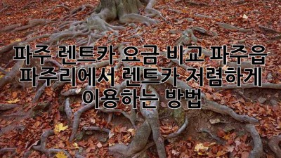 파주 렌트카 요금 비교: 파주읍 파주리에서 렌트카 저렴하게 이용하는 방법!
